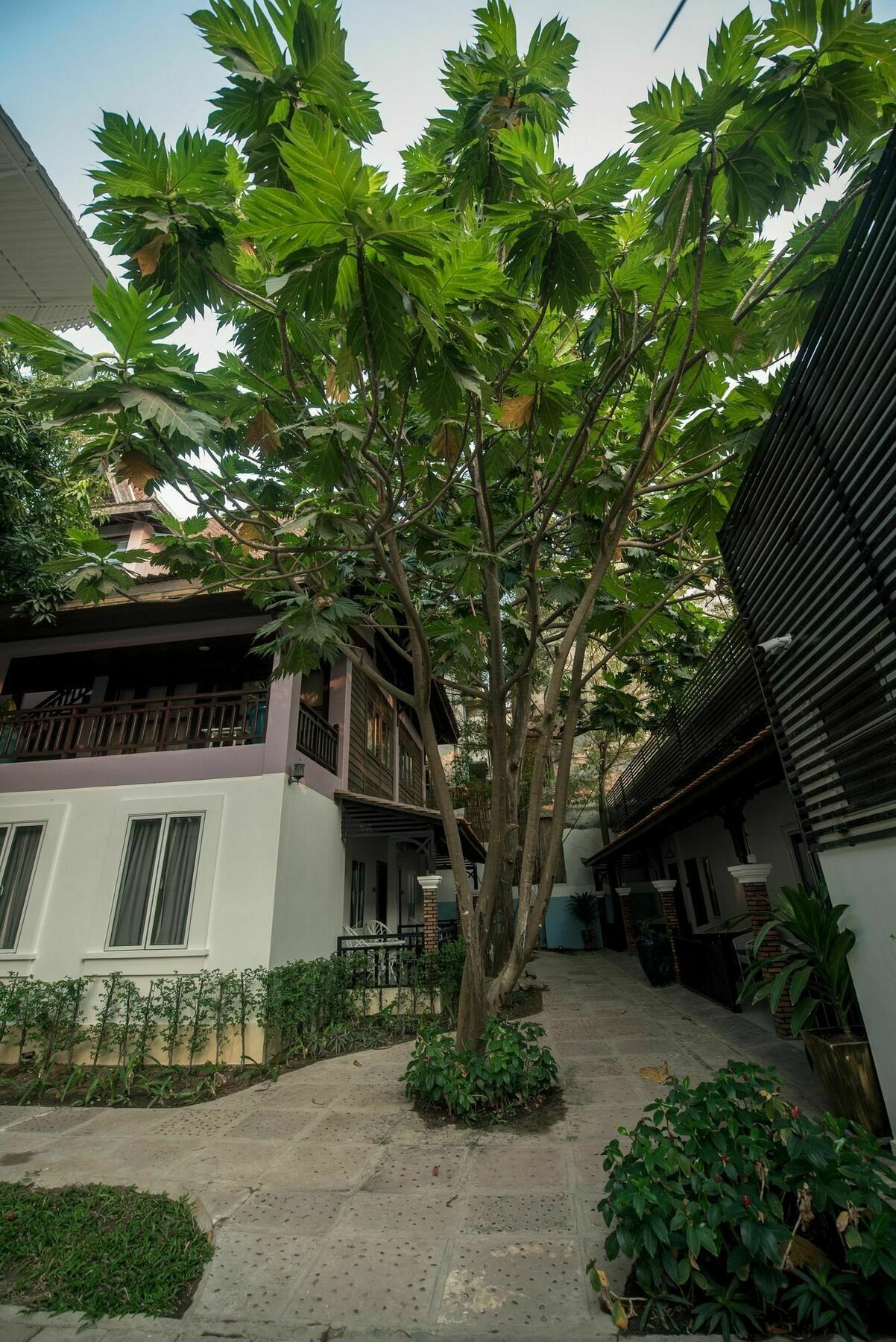 Lavender Angkor Boutique Hotel Siem Reap Exterior photo